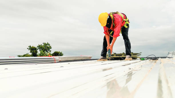 Best Metal Roofing Installation  in Sun Village, CA